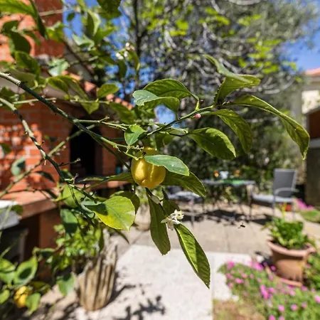 Guest house Grzetic Silo (Krk)